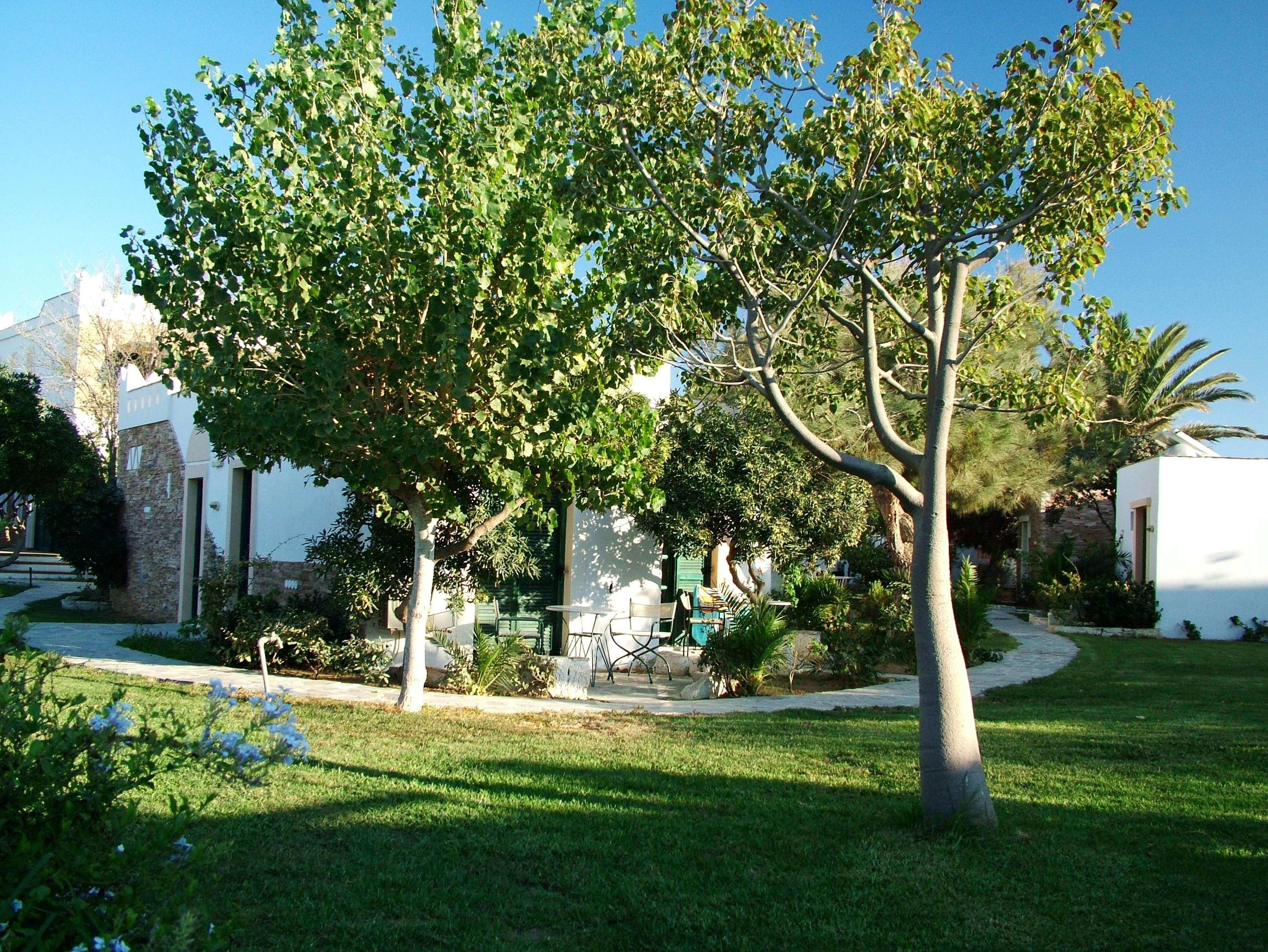 นาซอส บีช โฮเต็ล Hotel Naxos City ภายนอก รูปภาพ